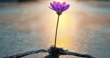 Cómo se reconstruye la confianza en un país que aprendió a desconfiar